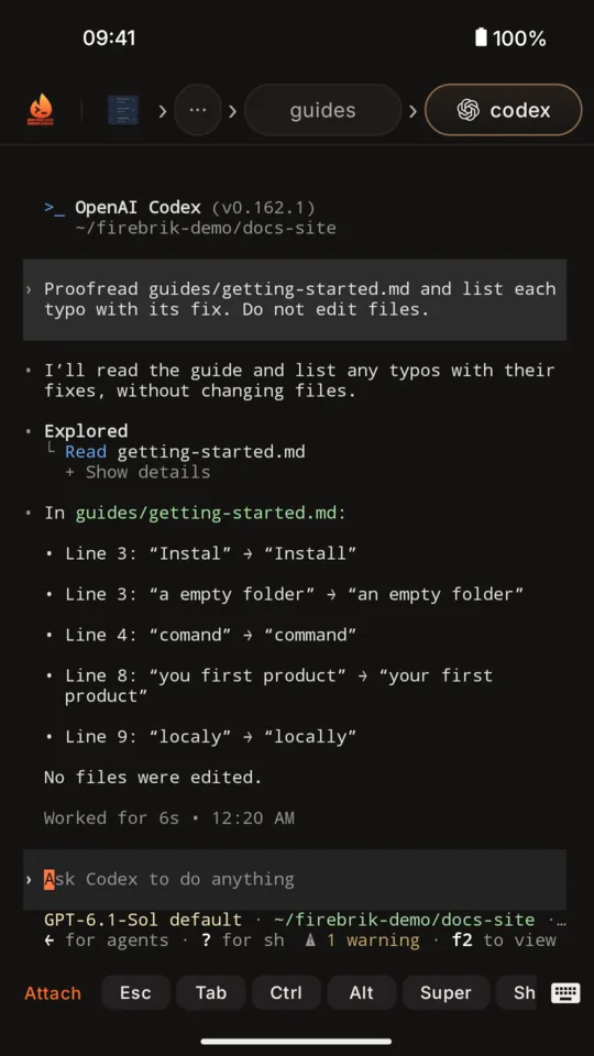 Codex's finished answer in its pane, listing typos found in a getting-started guide.