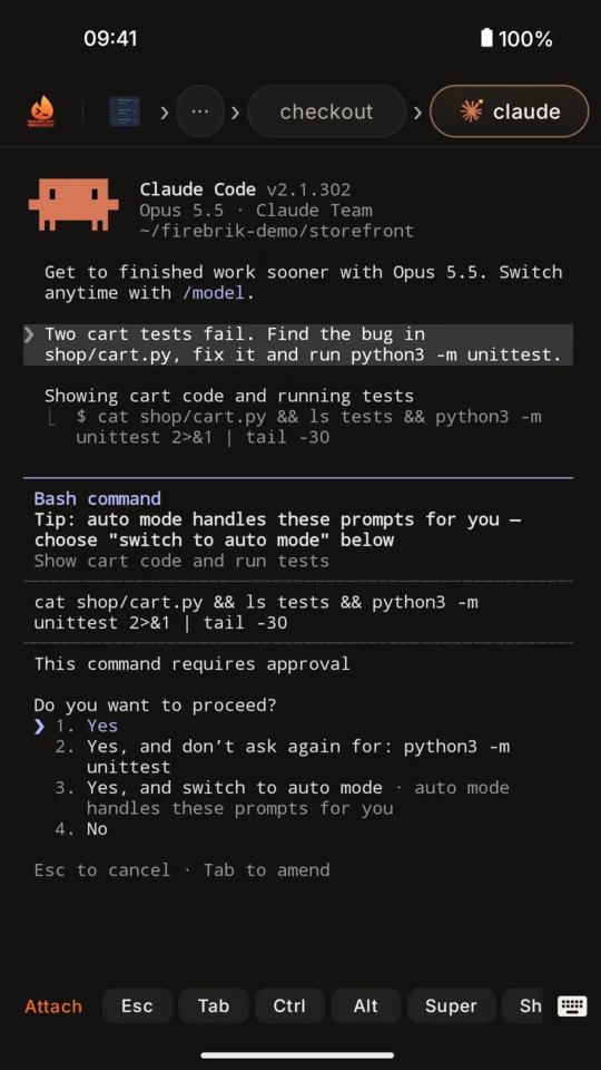 Claude Code asking for approval to run a test command, with numbered choices in the terminal.